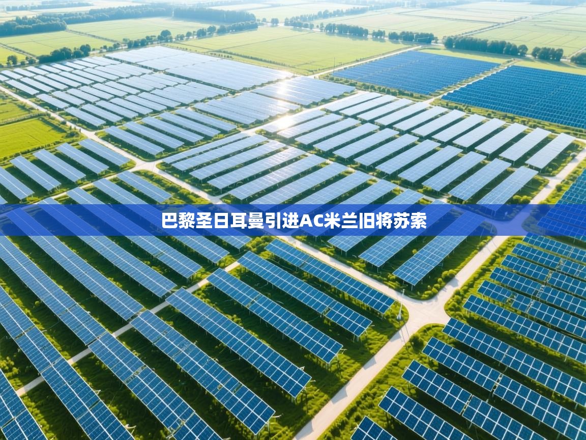 蓝鲸体育直播在线观看免费版-巴黎圣日耳曼引进AC米兰旧将苏索 第2张