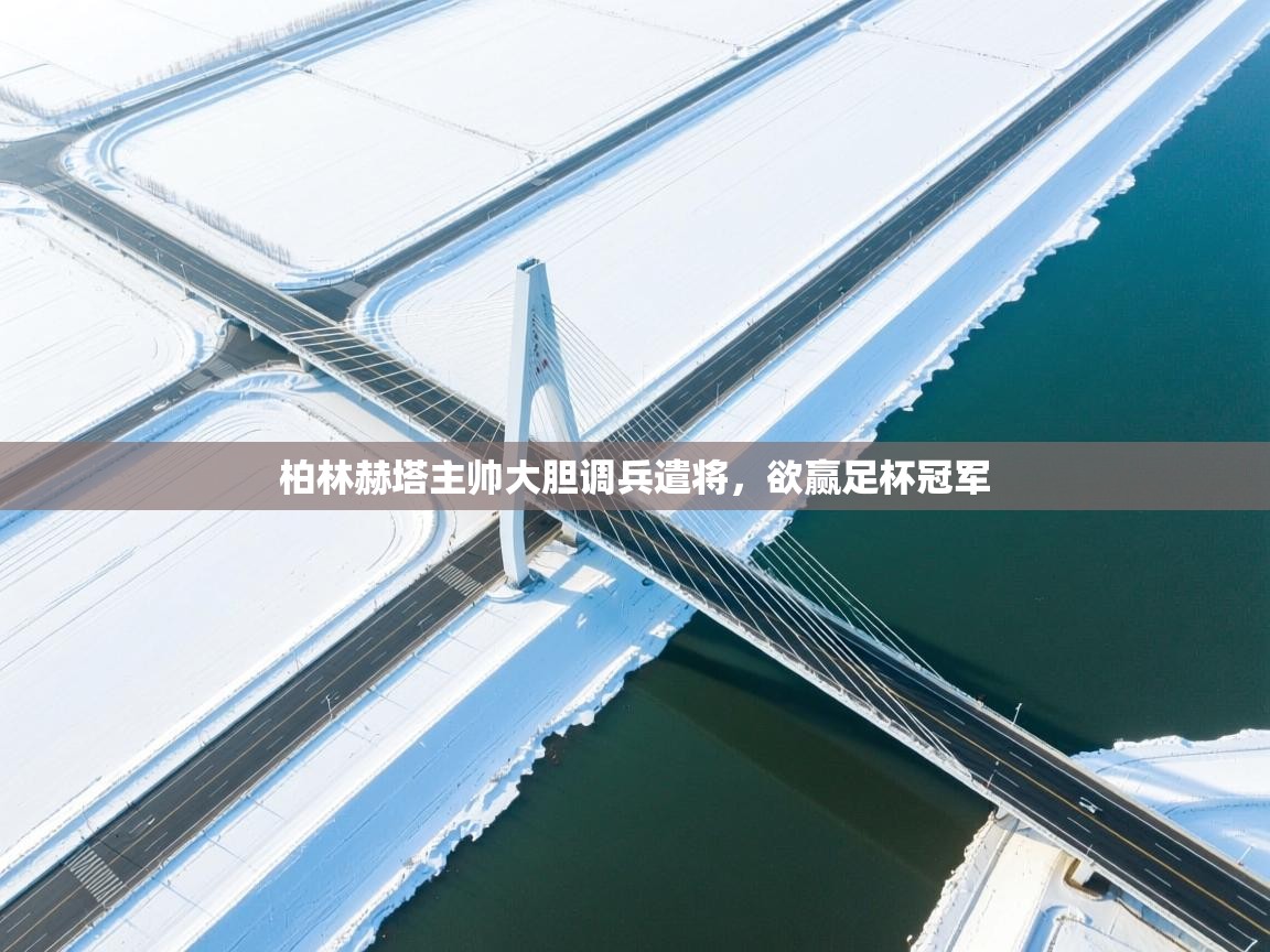 蓝鲸体育app-柏林赫塔主帅大胆调兵遣将，欲赢足杯冠军  第2张