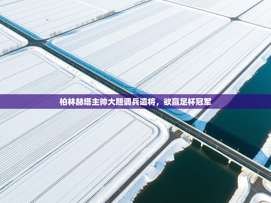 蓝鲸体育app-柏林赫塔主帅大胆调兵遣将，欲赢足杯冠军  第3张