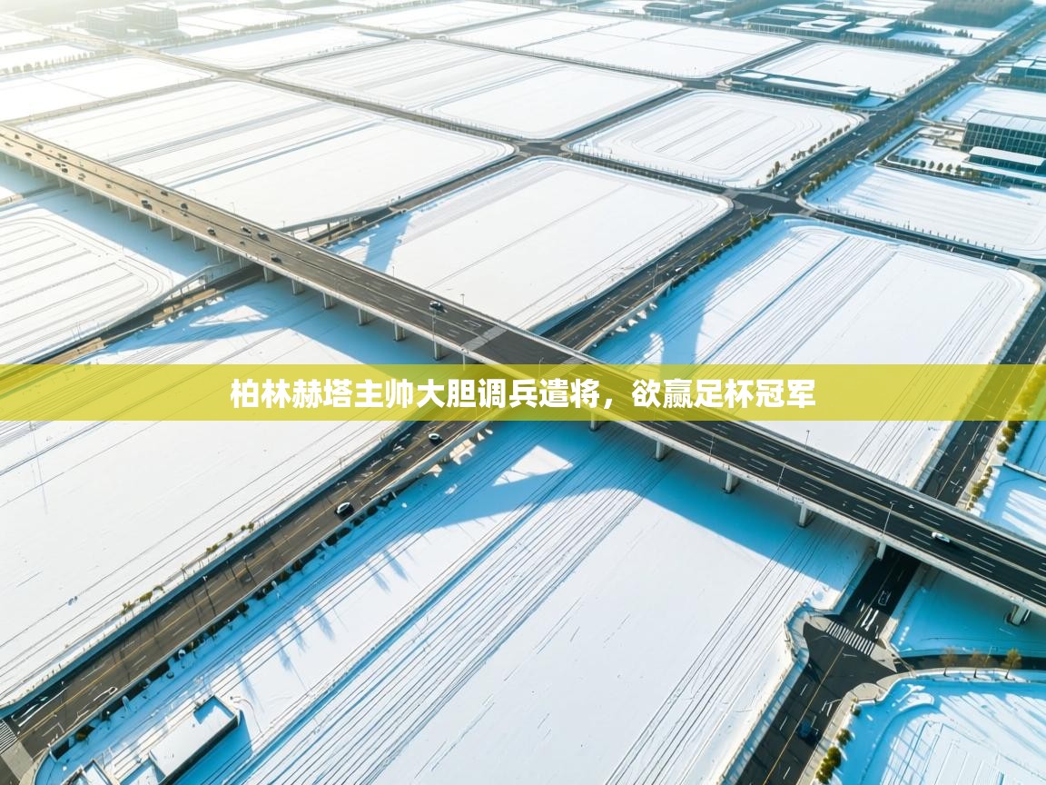 蓝鲸体育app-柏林赫塔主帅大胆调兵遣将，欲赢足杯冠军  第4张