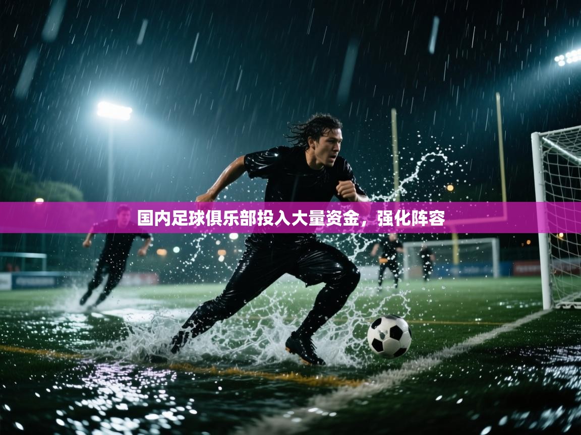 蓝鲸体育直播电脑版-国内足球俱乐部投入大量资金,强化阵容 第2张